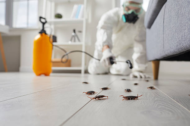 Trusted Cockroach Control service in Billings, MT - Nex Pest Control