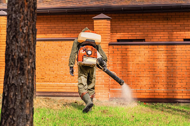 Trusted Termite Control service in Billings, MT - Nex Pest Control